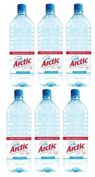 М.вода 1,25л "Arctic" н/газ *6, шт